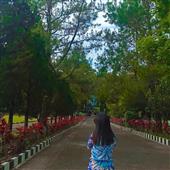 Tại