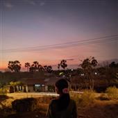 Mậu