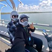 Gấu