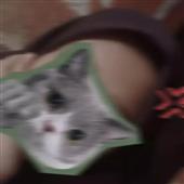 Các