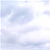 Chơ