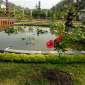 Ngầ