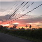 Vô 