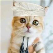 Kèo