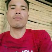 Giả