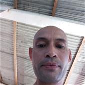 Bản