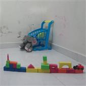 Lịc