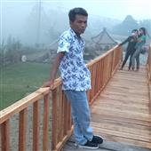 Gấu
