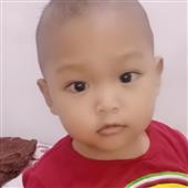 Đảo