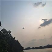 RỒN