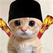 Kết