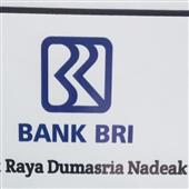 Đán
