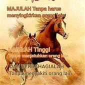 Hải