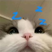 BXH