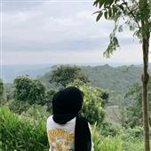 Bản