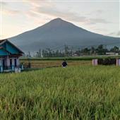 Chú