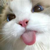 Vòn