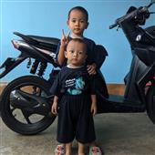 Giả