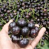 Lịc