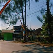 THẦ