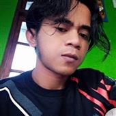 Cur