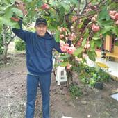 Onl