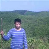Vua