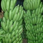 Ngầ
