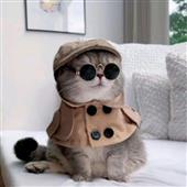 The