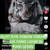 Soi