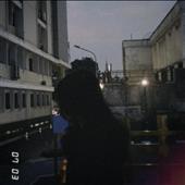 Thố
