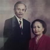 Giả