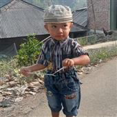 Cây