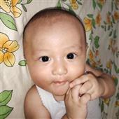 Khỉ