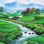 Bỏ 