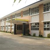 Bản