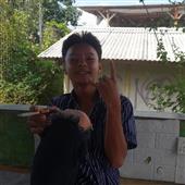 Mơ 