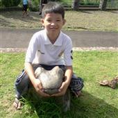 Đoạ