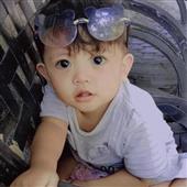 Giả