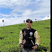 Thả