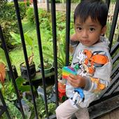 Trự