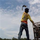 Cuộ