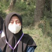 Siê