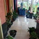 Dự 