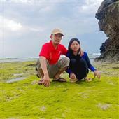 số 