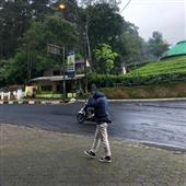 Bài
