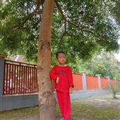 VỪN