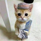 Các