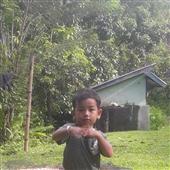 Dự 