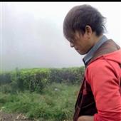 Bản